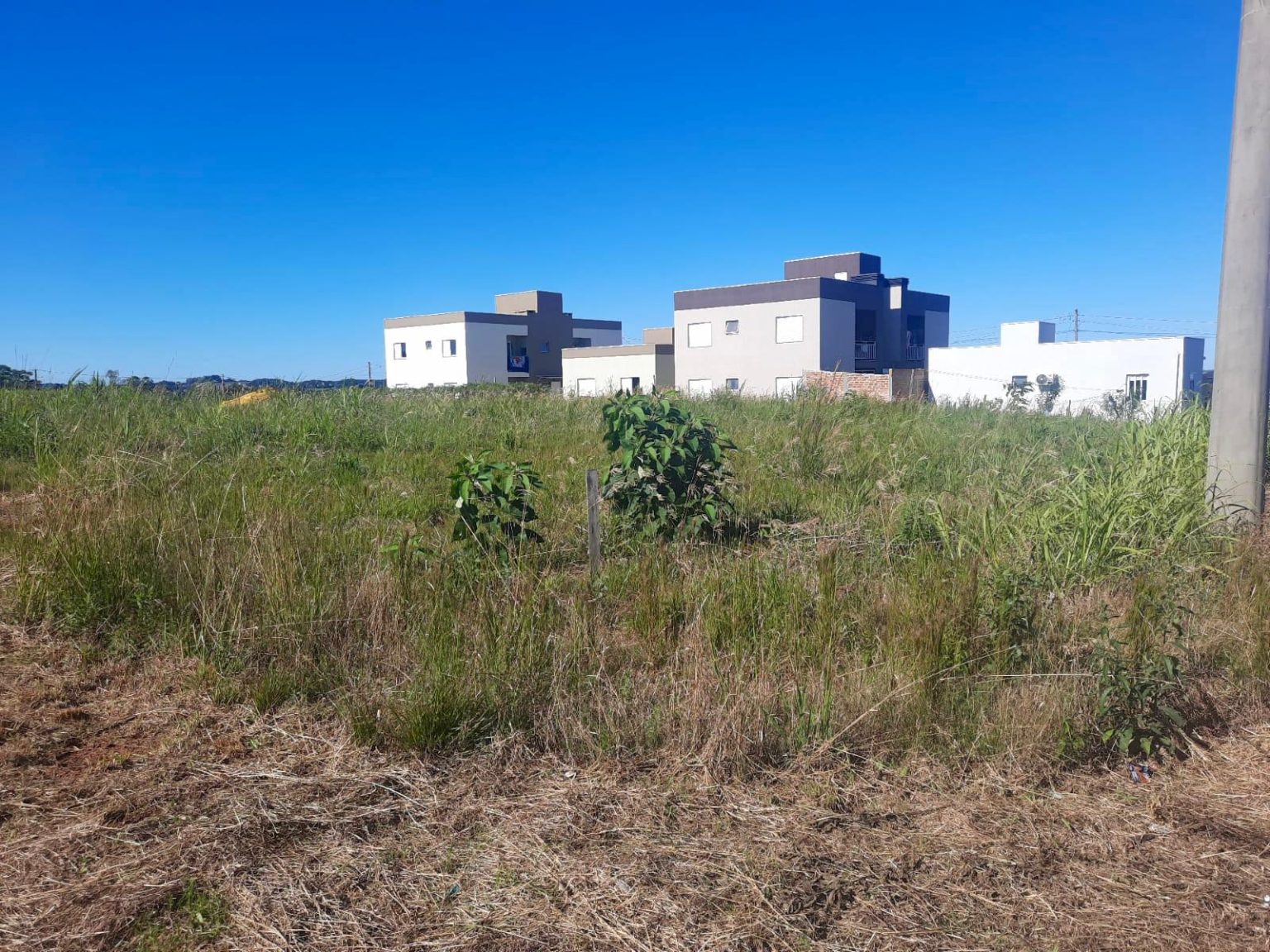 WhatsApp Image 2025-06-17 at 15.40.14