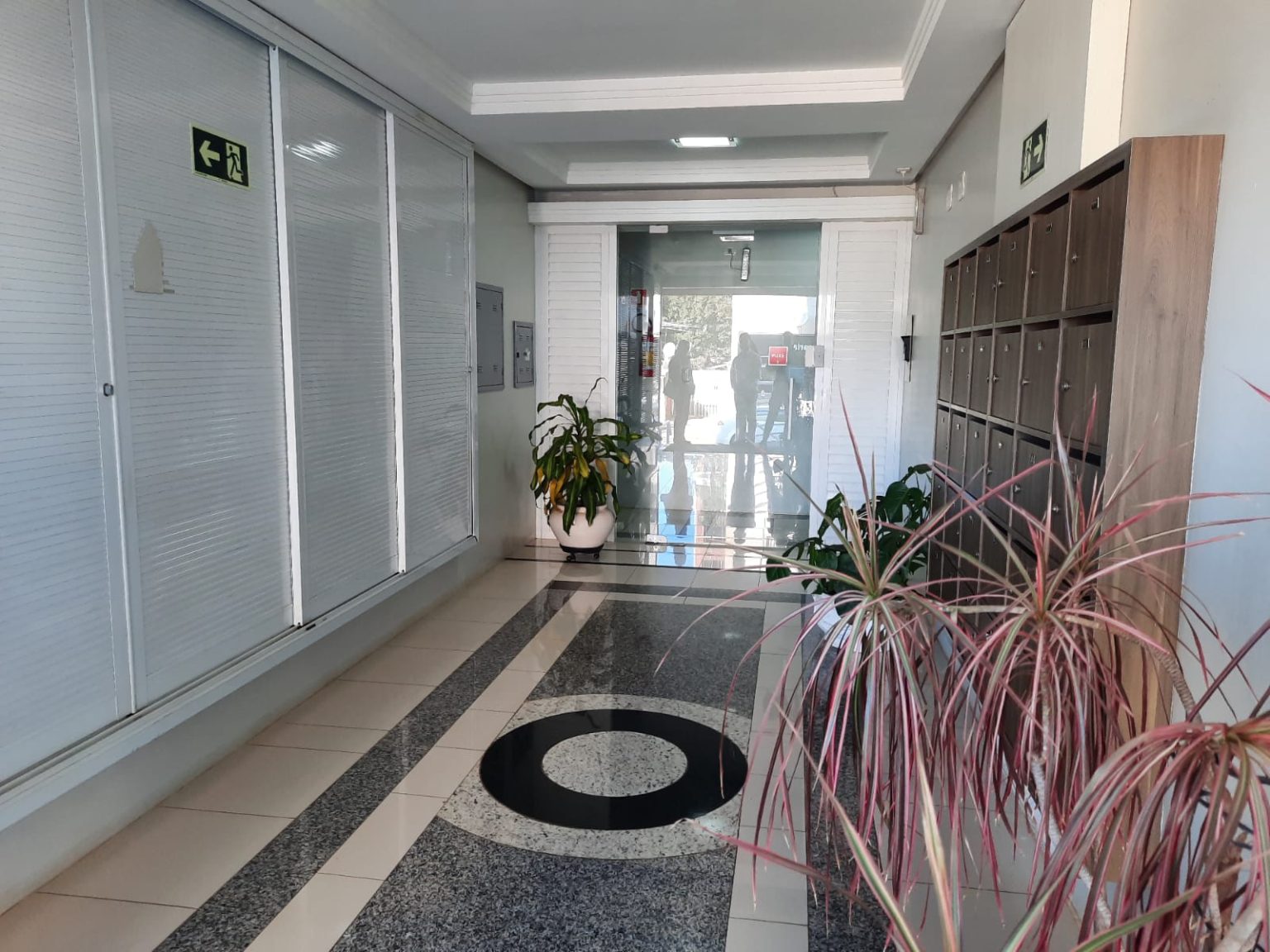 WhatsApp Image 2025-07-08 at 14.56.21