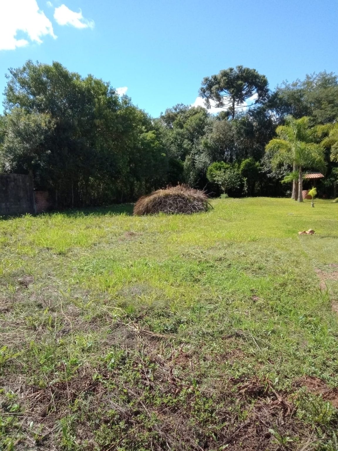 WhatsApp Image 2025-07-18 at 18.53.03