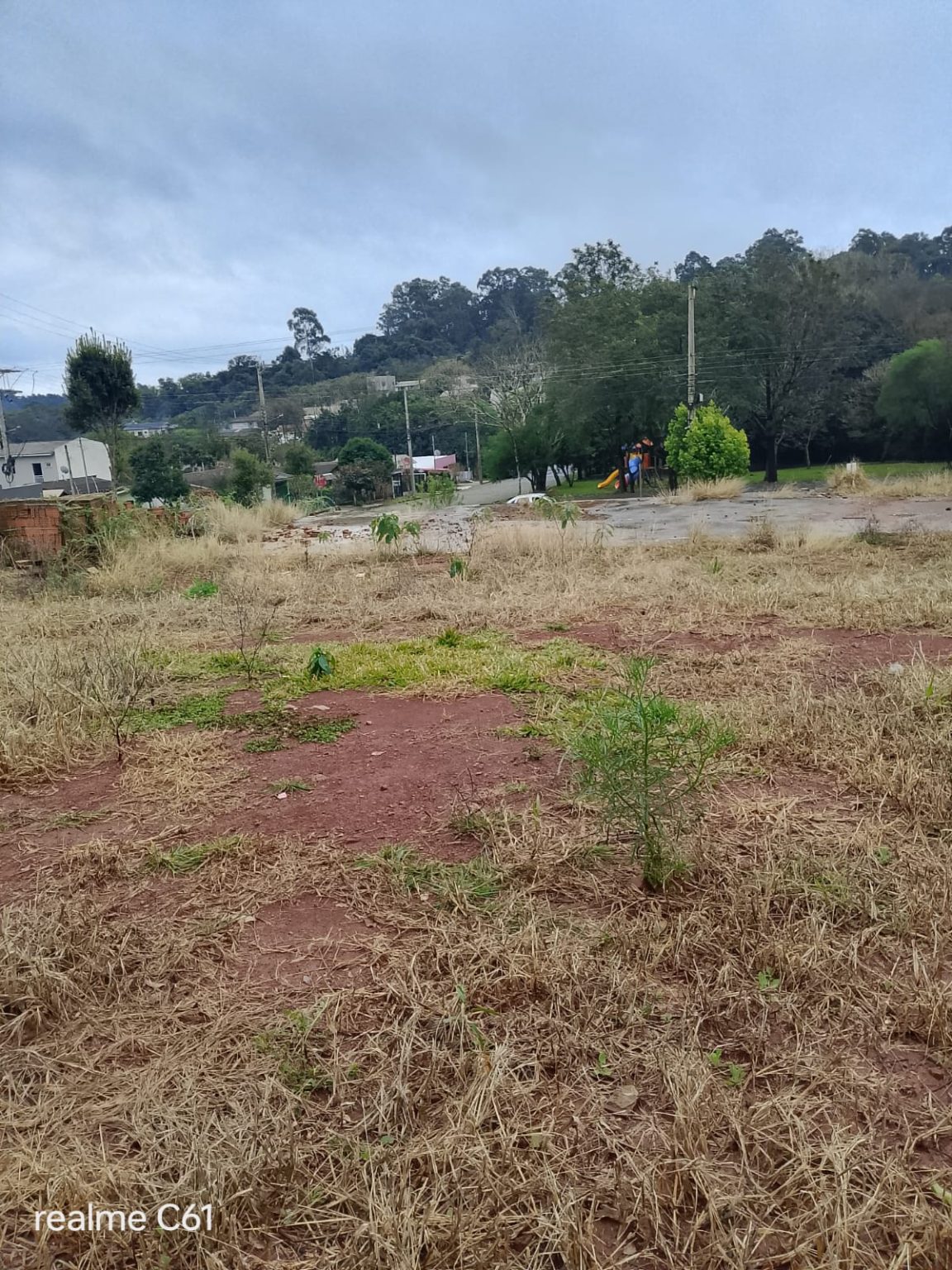 WhatsApp Image 2025-07-24 at 16.52.30