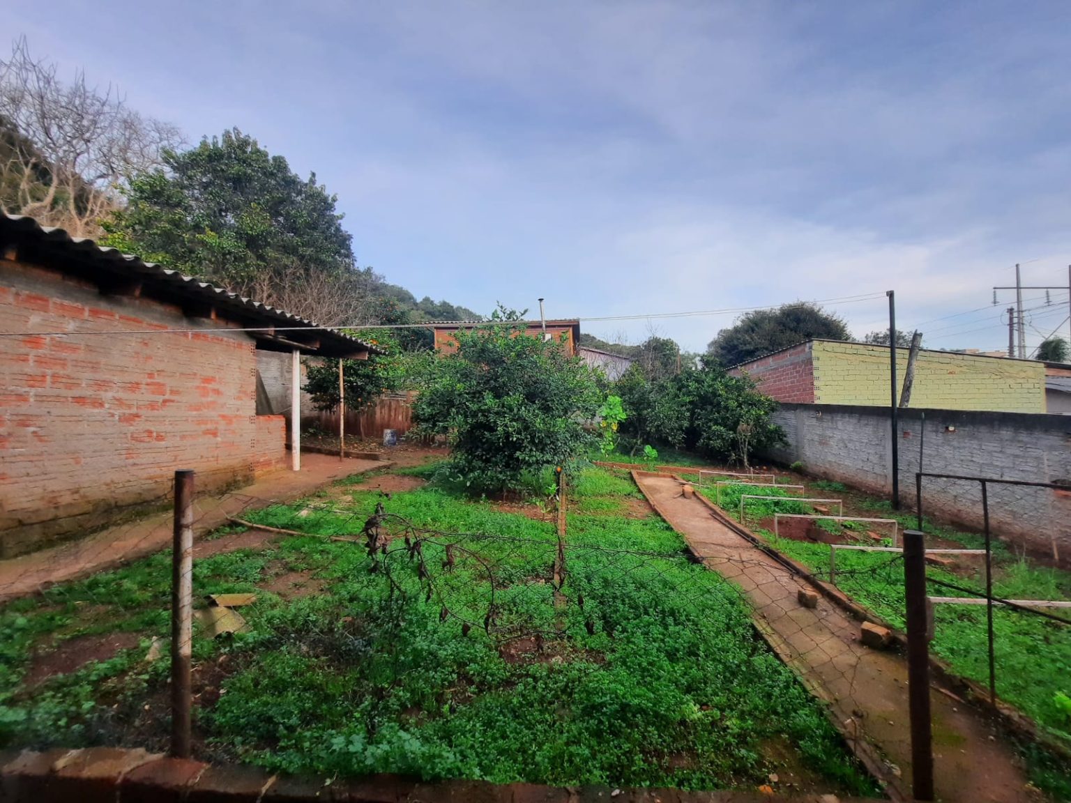 WhatsApp Image 2025-08-01 at 20.53.46