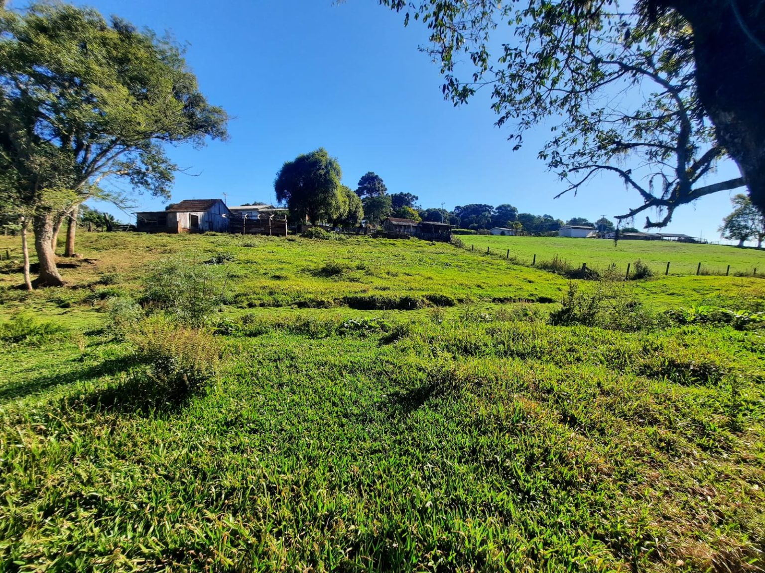 WhatsApp Image 2025-08-07 at 21.12.28