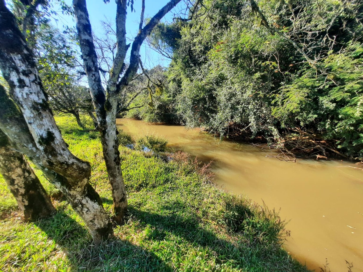 WhatsApp Image 2025-08-07 at 21.12.32