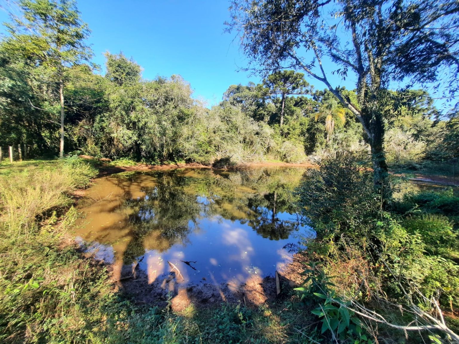 WhatsApp Image 2025-08-07 at 21.12.41