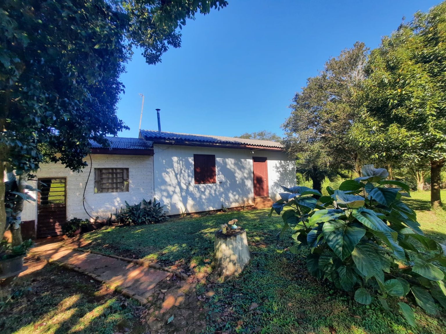 WhatsApp Image 2025-08-07 at 21.13.02