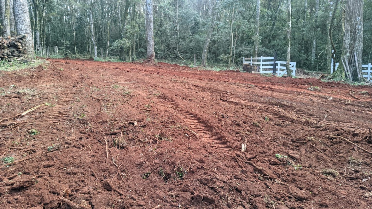 WhatsApp Image 2025-08-22 at 20.53.34