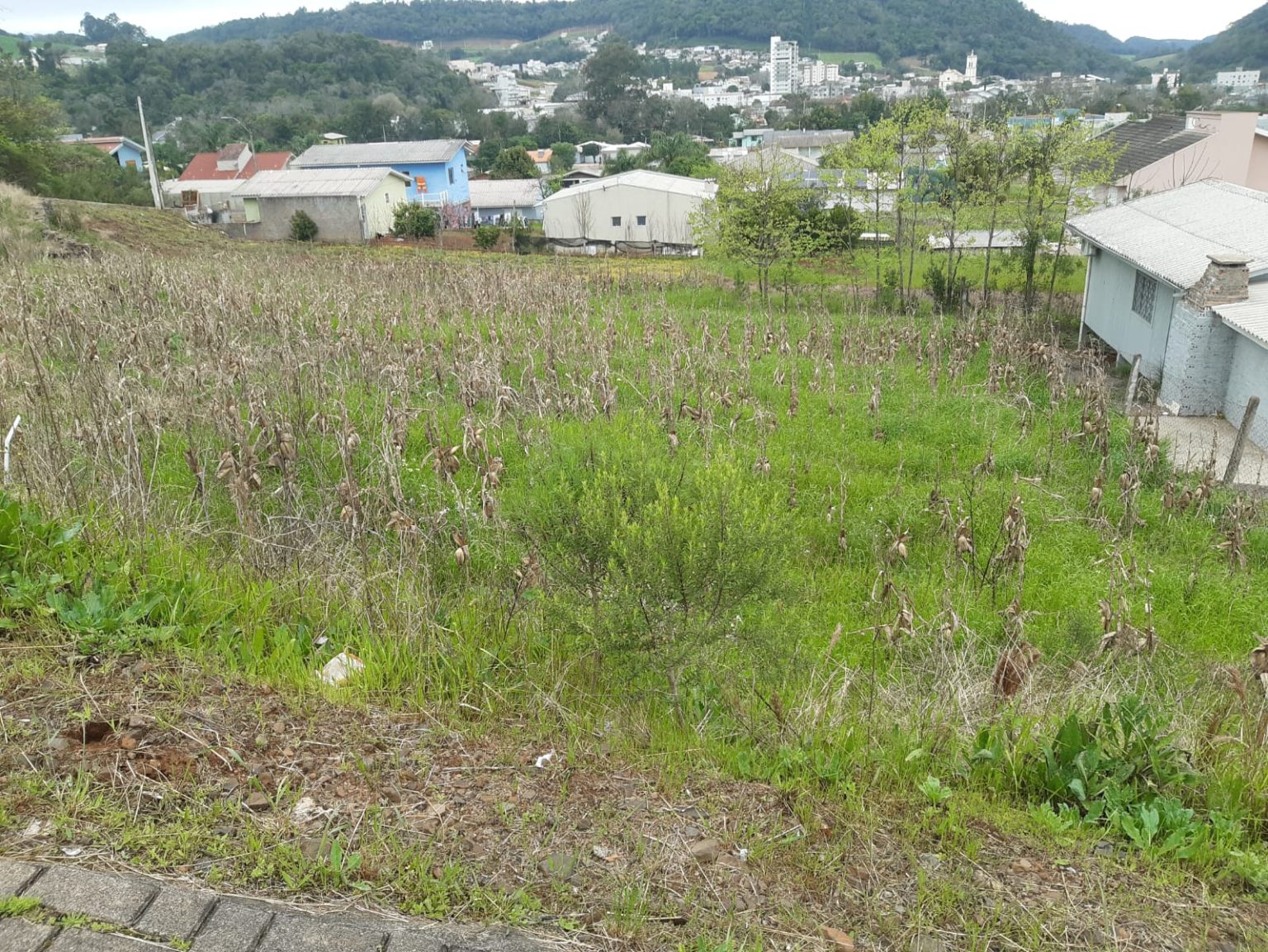 WhatsApp Image 2025-08-26 at 14.39.07