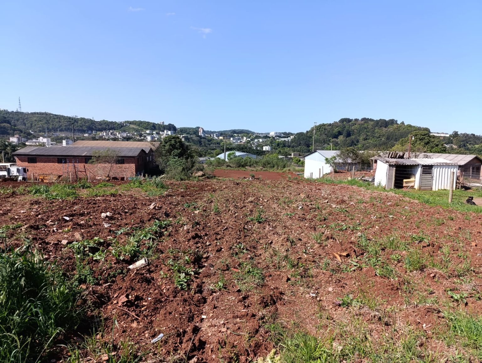 WhatsApp Image 2025-09-30 at 20.32.15 (1)