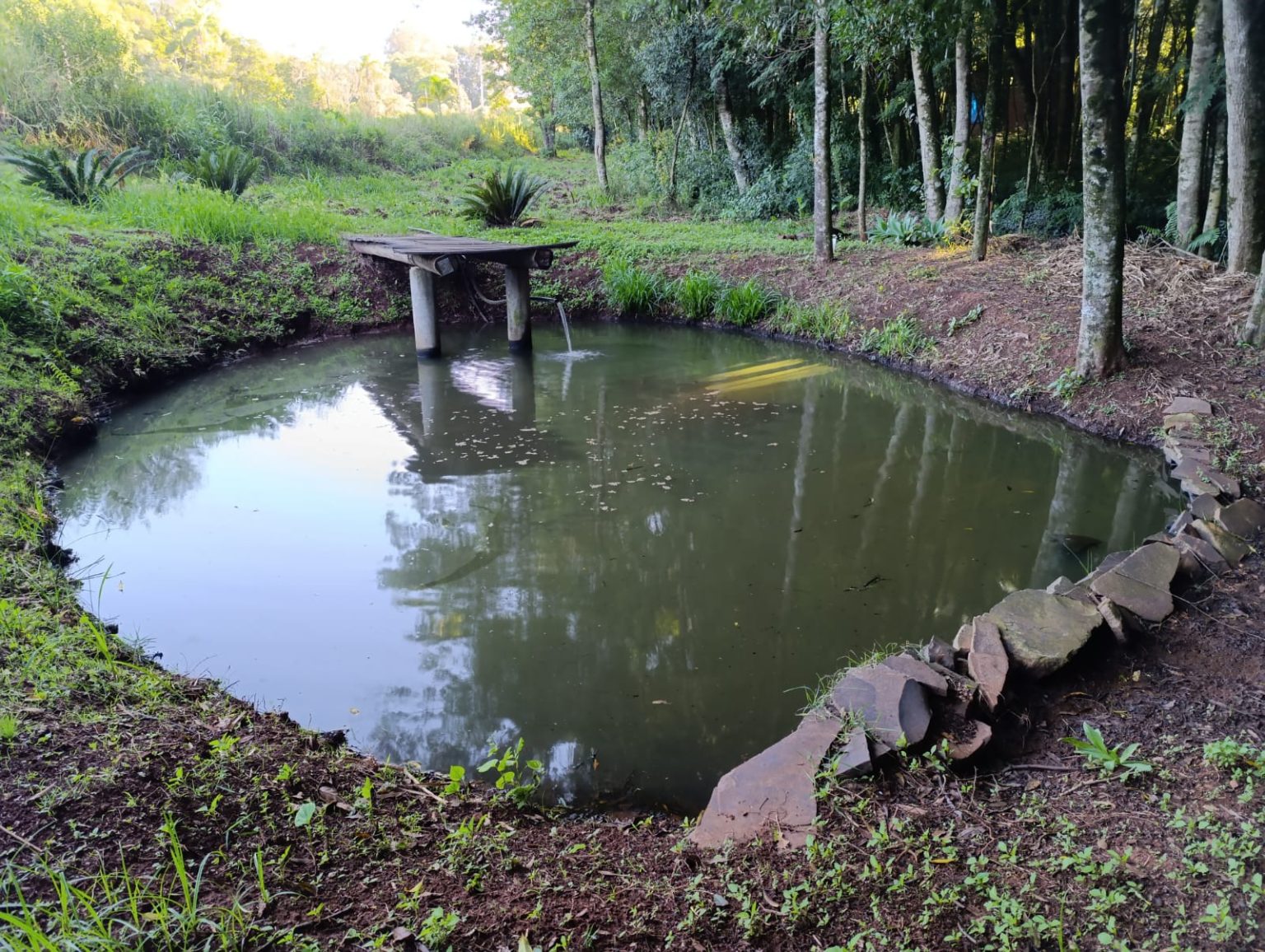 WhatsApp Image 2025-09-30 at 20.35.00 (2)