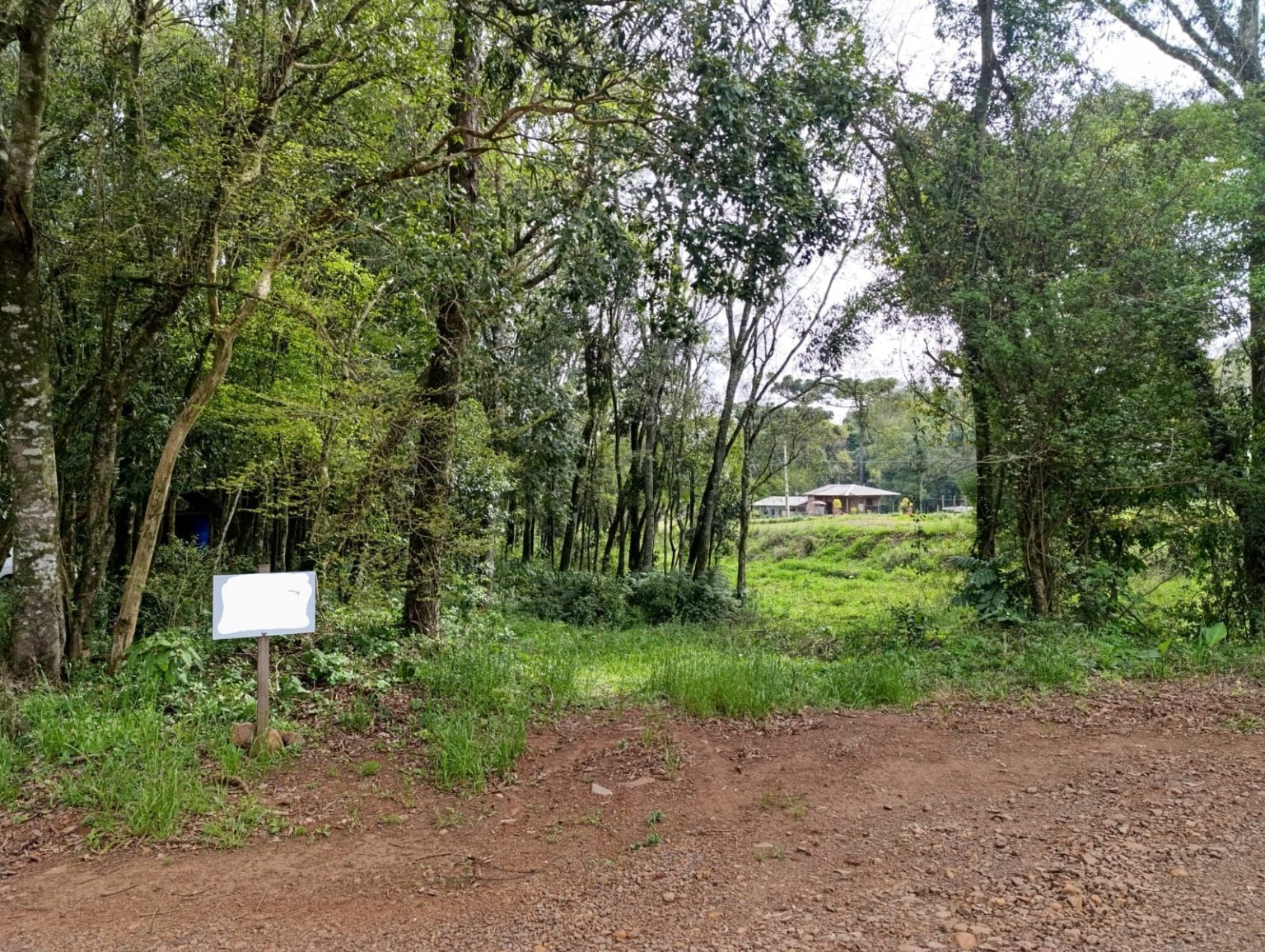 WhatsApp Image 2025-10-01 at 16.55.05