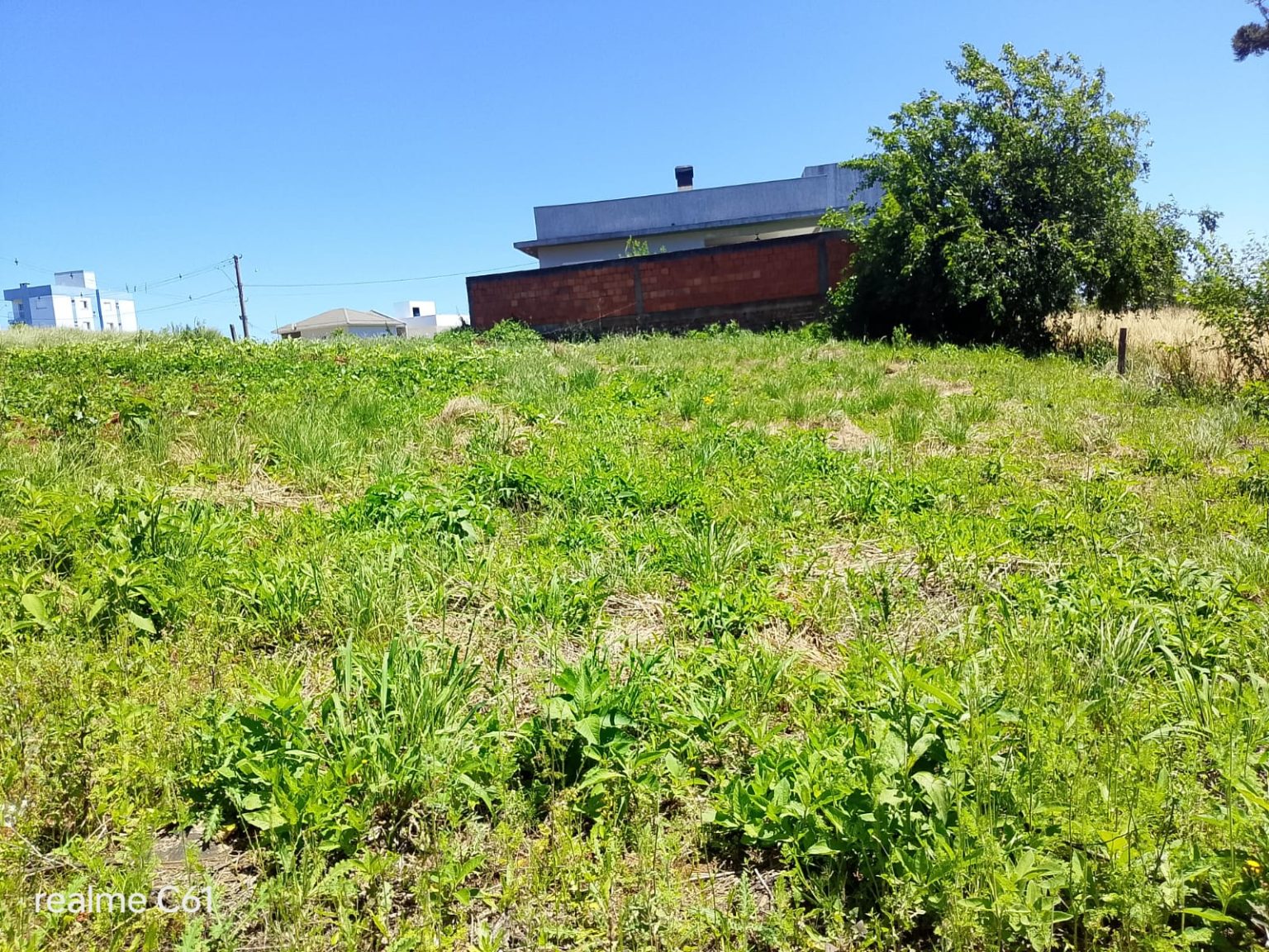 WhatsApp Image 2025-10-23 at 16.00.07