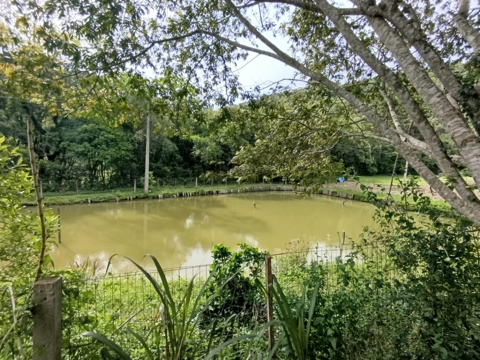 WhatsApp Image 2025-10-24 at 23.26.10