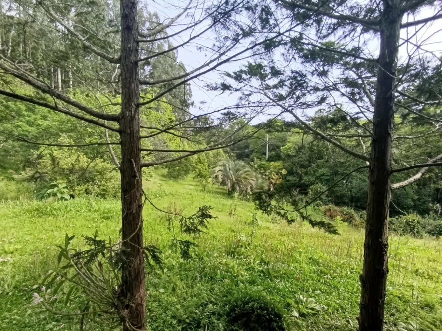 WhatsApp Image 2025-10-24 at 23.26.11 (1)