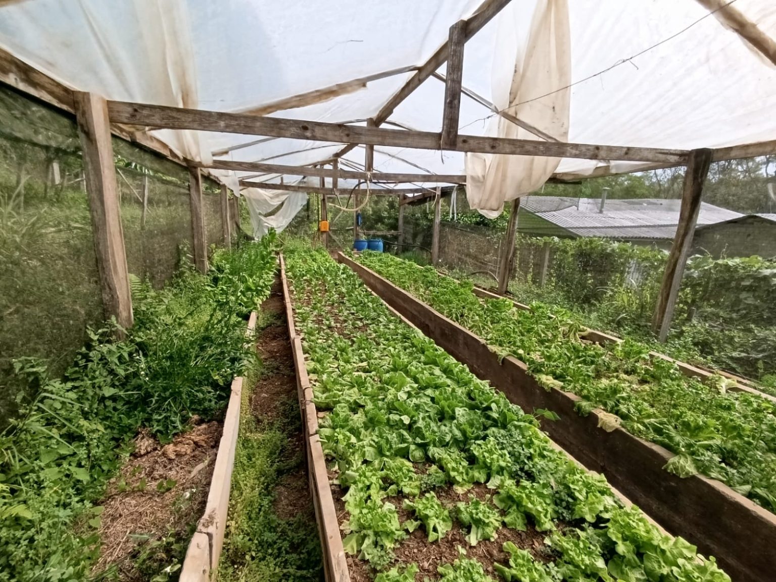 WhatsApp Image 2025-10-24 at 23.26.11