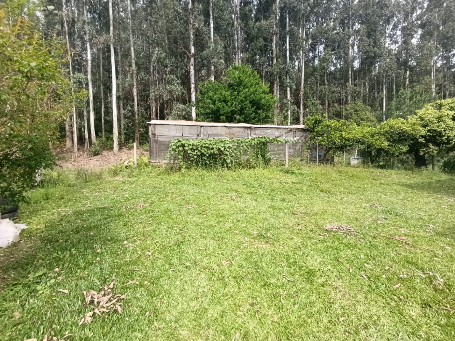 WhatsApp Image 2025-10-24 at 23.26.11 (2)