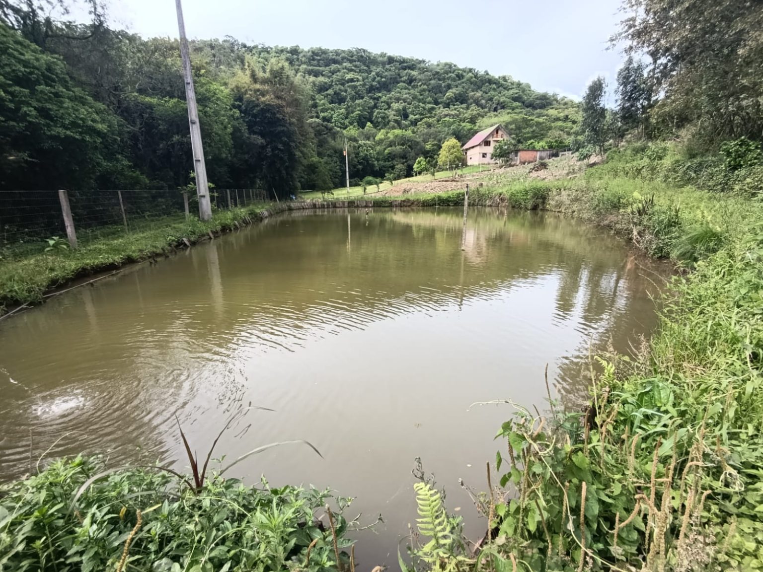 WhatsApp Image 2025-10-24 at 23.26.12