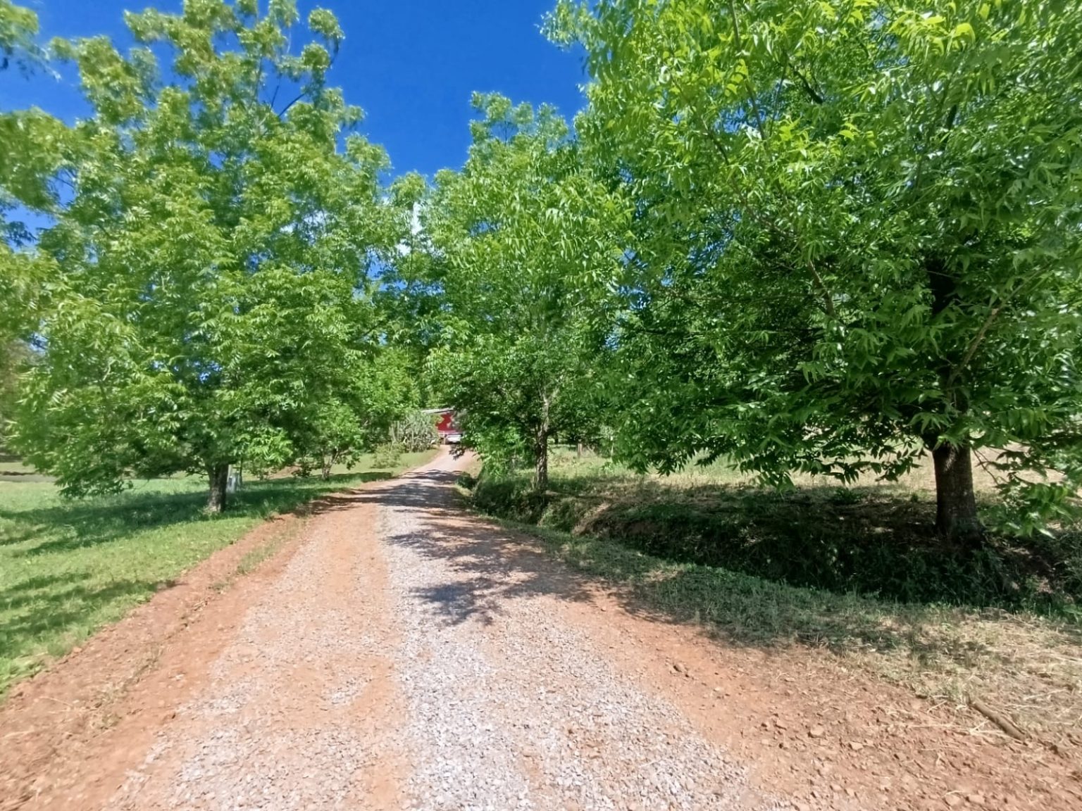 WhatsApp Image 2025-11-06 at 10.34.34 (1)