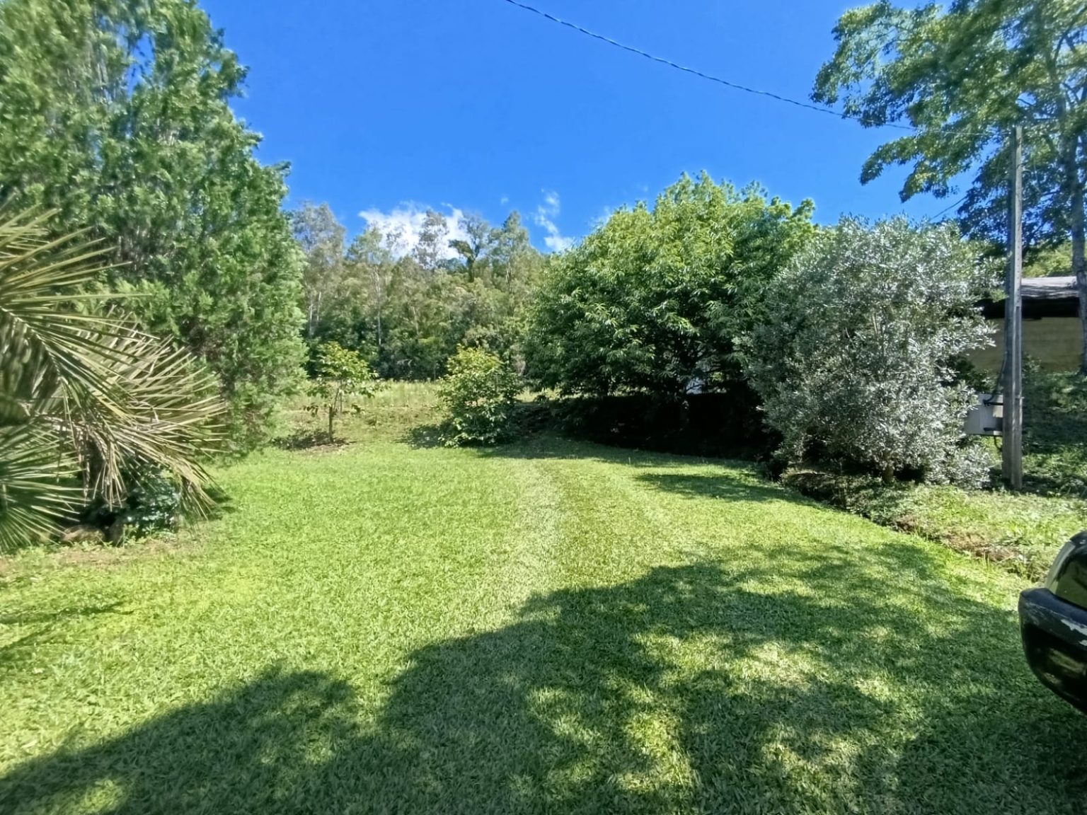 WhatsApp Image 2025-11-06 at 10.34.34