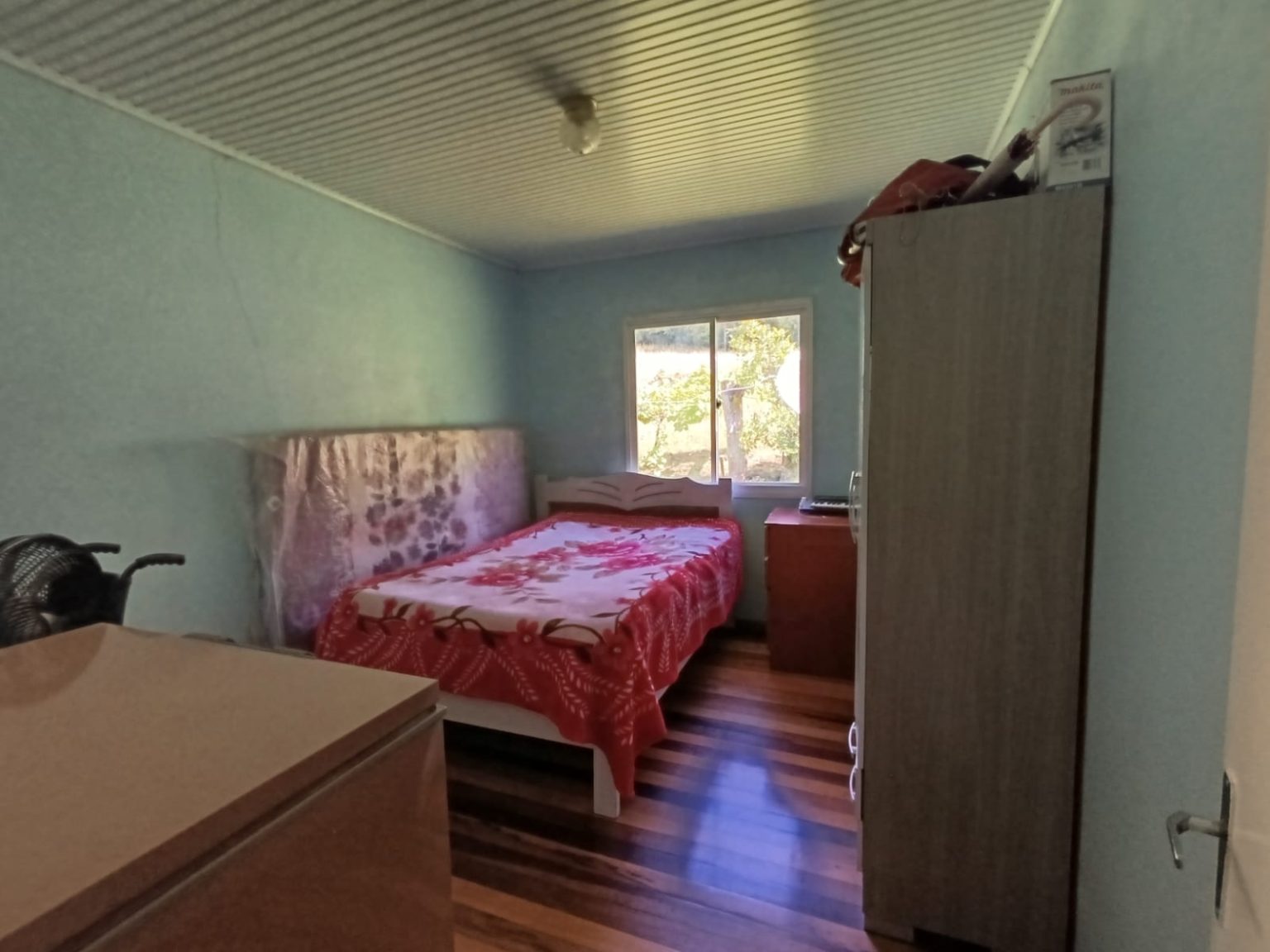 WhatsApp Image 2025-11-06 at 10.34.47 (1)