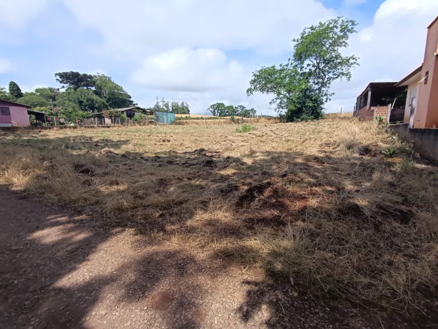 WhatsApp Image 2025-11-18 at 17.42.01