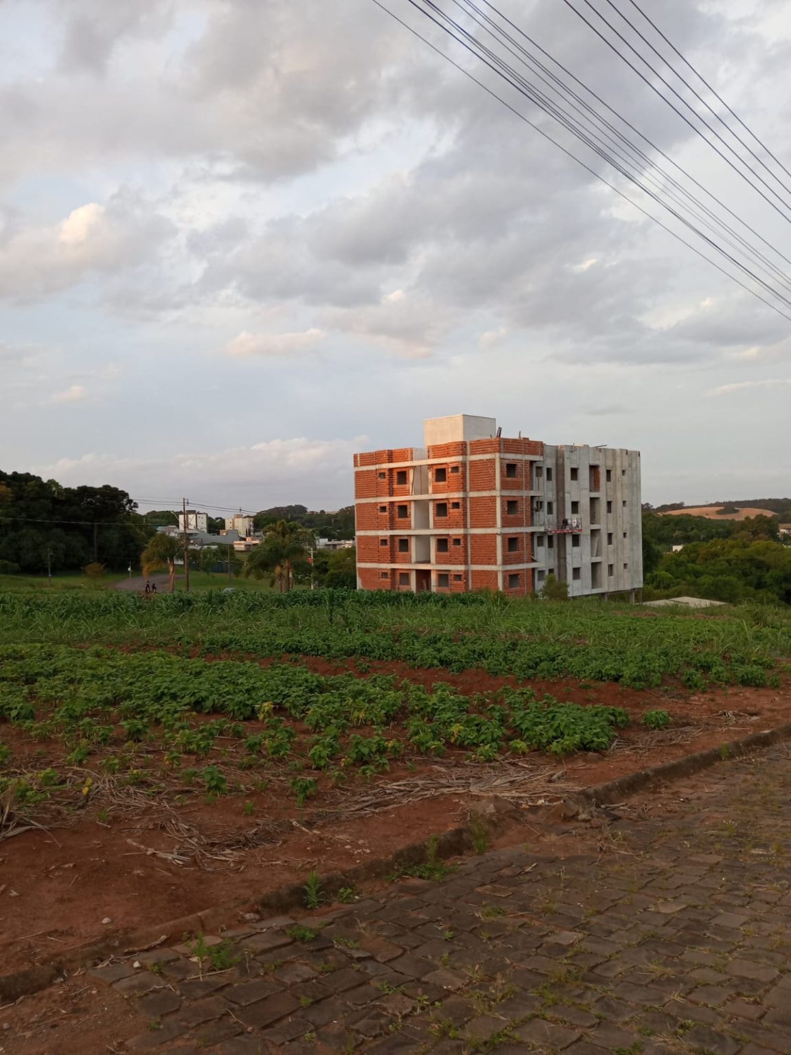 WhatsApp Image 2025-11-19 at 15.52.31