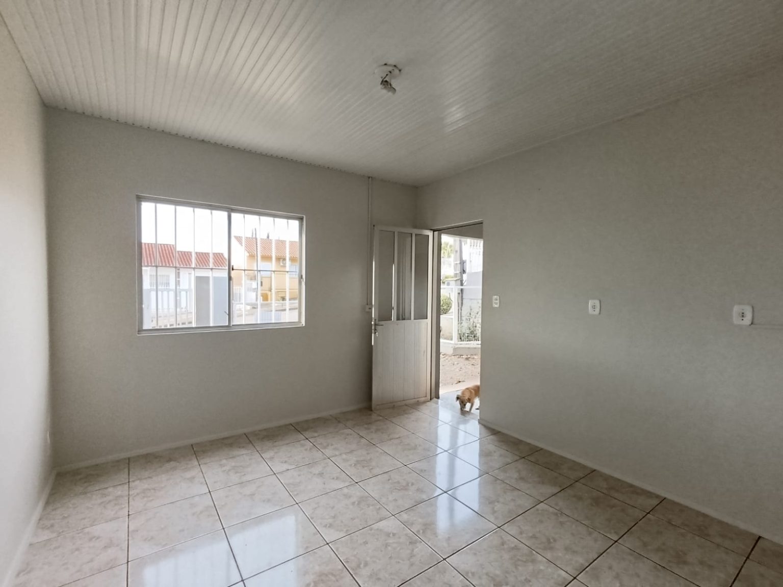 WhatsApp Image 2026-01-21 at 20.34.45 (2)