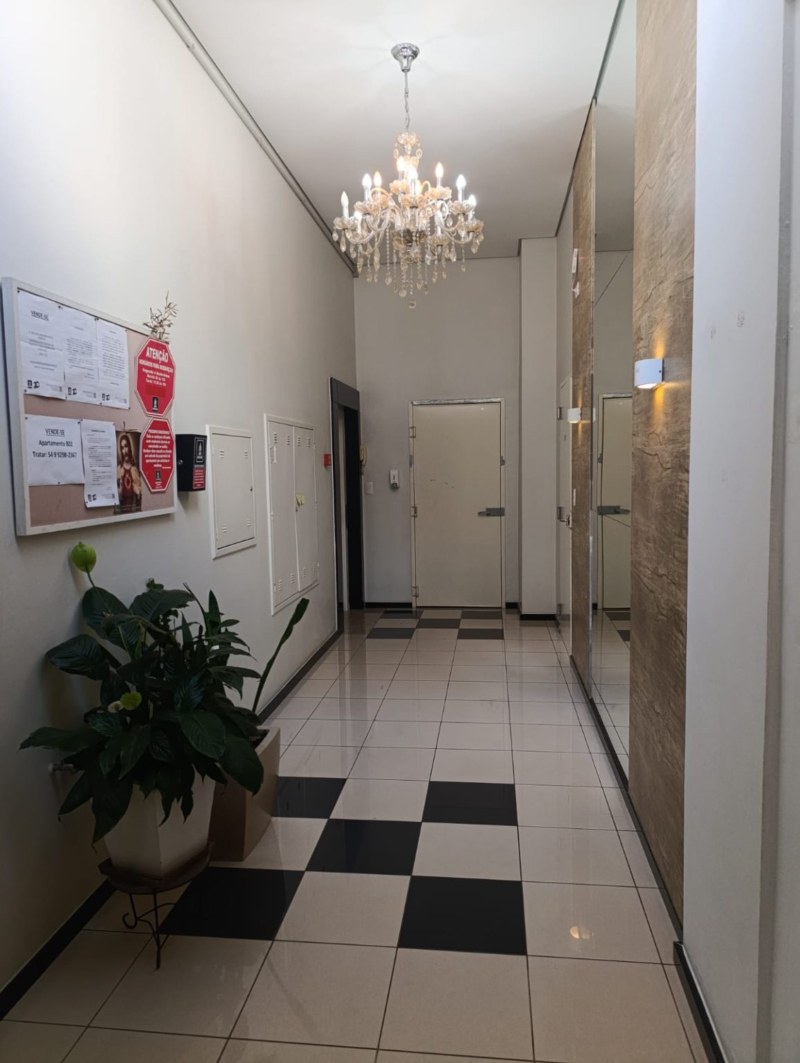 WhatsApp Image 2026-01-22 at 15.25.17