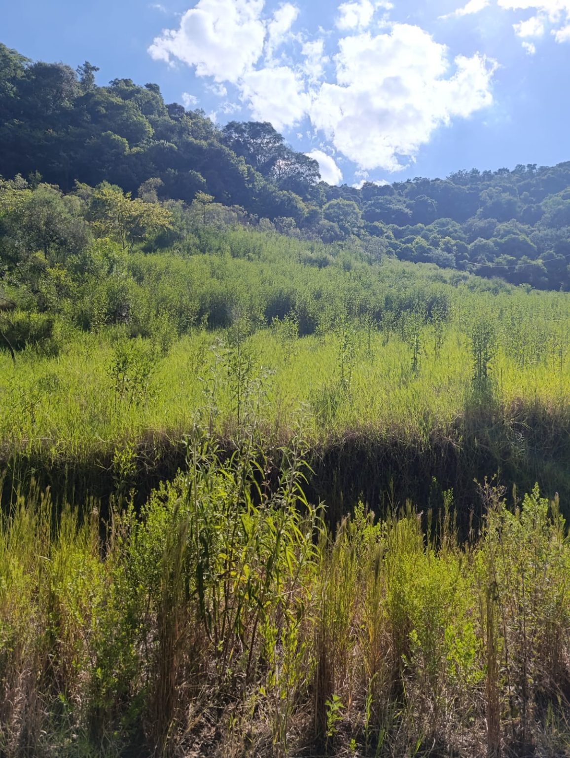 WhatsApp Image 2026-02-08 at 10.20.51 (1)