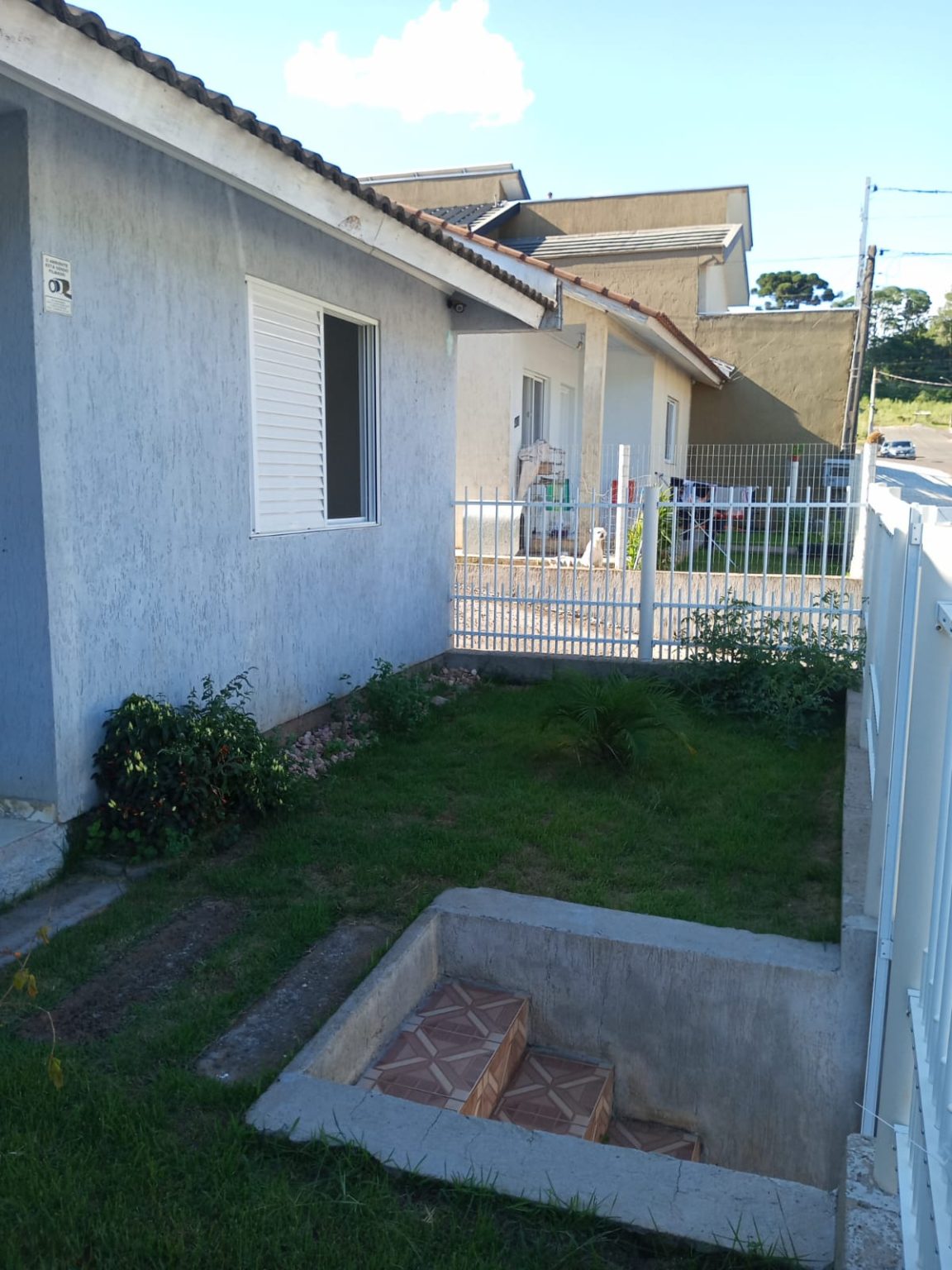 WhatsApp Image 2026-02-08 at 16.52.29