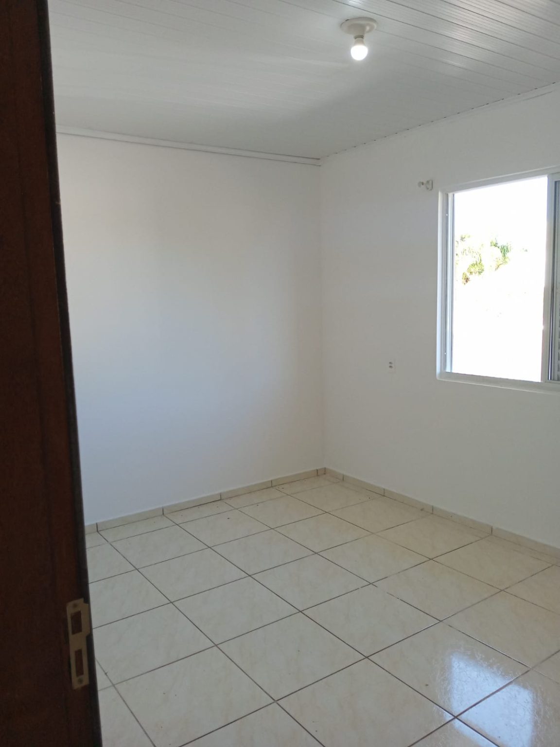 WhatsApp Image 2026-02-08 at 16.52.31 (1)