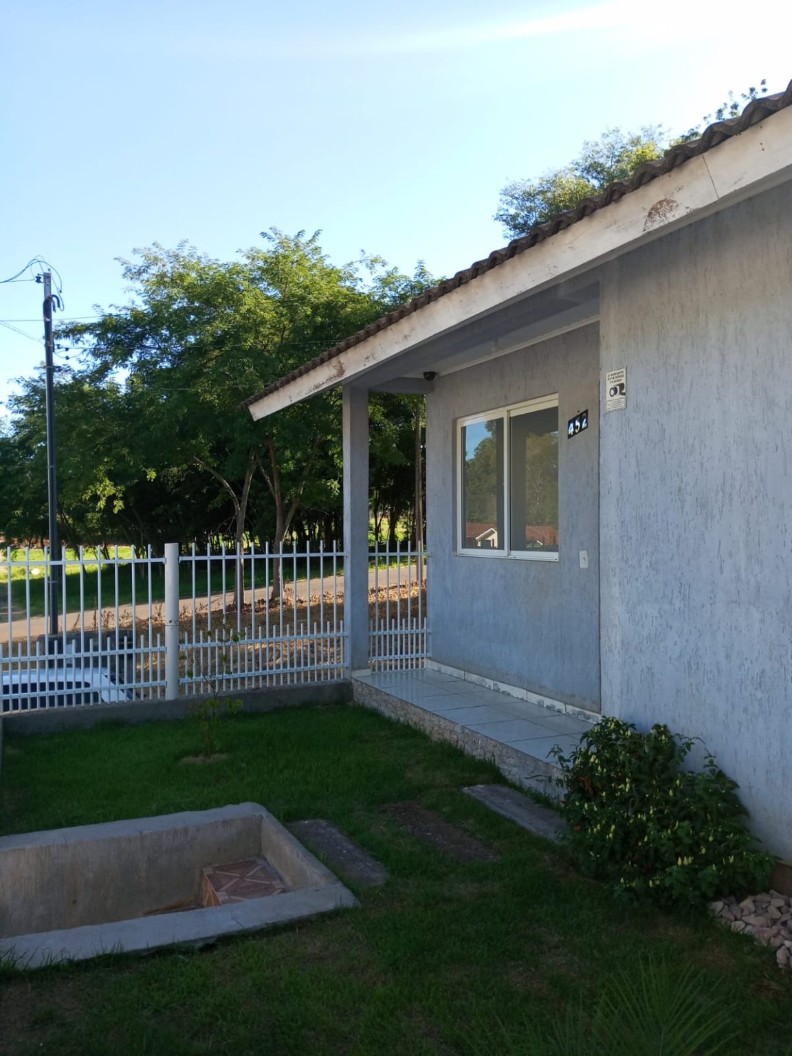 WhatsApp Image 2026-02-08 at 16.52.31